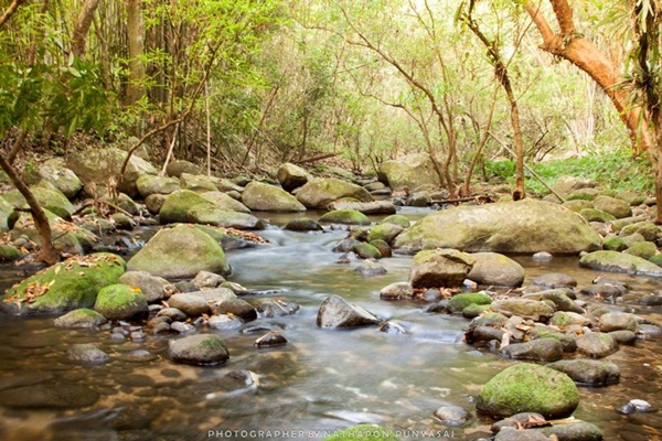 กาลครั้งหนึ่ง ณ โมโกจู