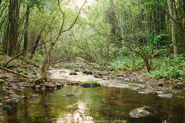 กาลครั้งหนึ่ง ณ โมโกจู