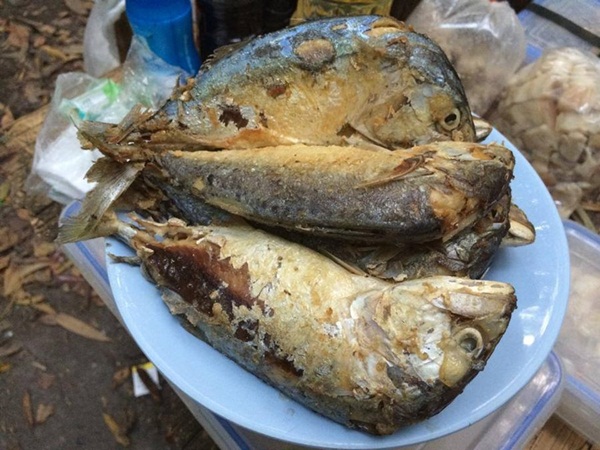 กาลครั้งหนึ่ง ณ โมโกจู