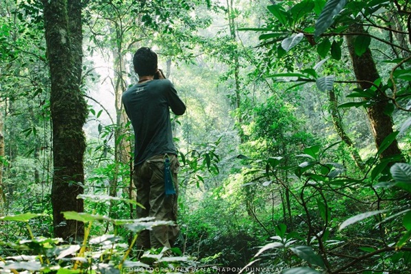 กาลครั้งหนึ่ง ณ โมโกจู