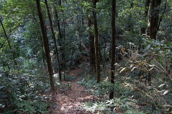 กาลครั้งหนึ่ง ณ โมโกจู