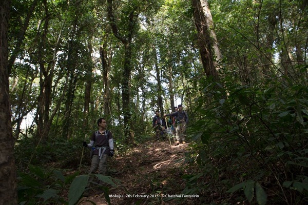 กาลครั้งหนึ่ง ณ โมโกจู