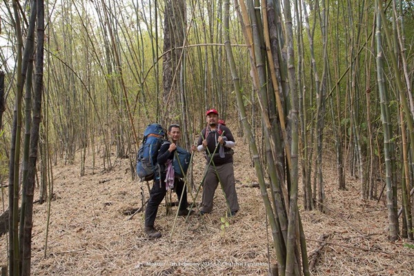 กาลครั้งหนึ่ง ณ โมโกจู