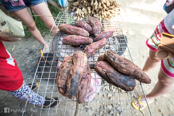 ตะลุยเที่ยววังเวียง