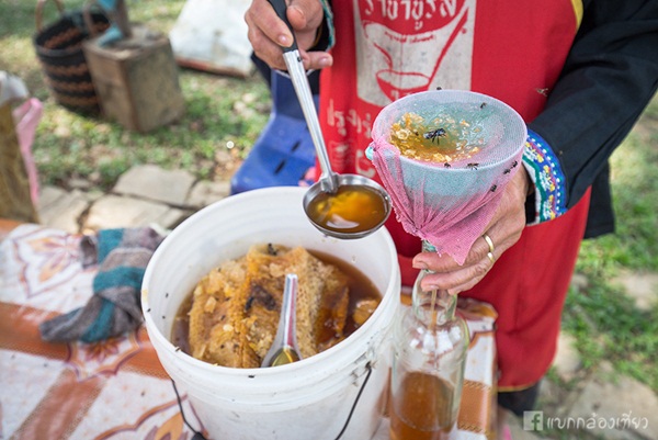 ตะลุยเที่ยววังเวียง