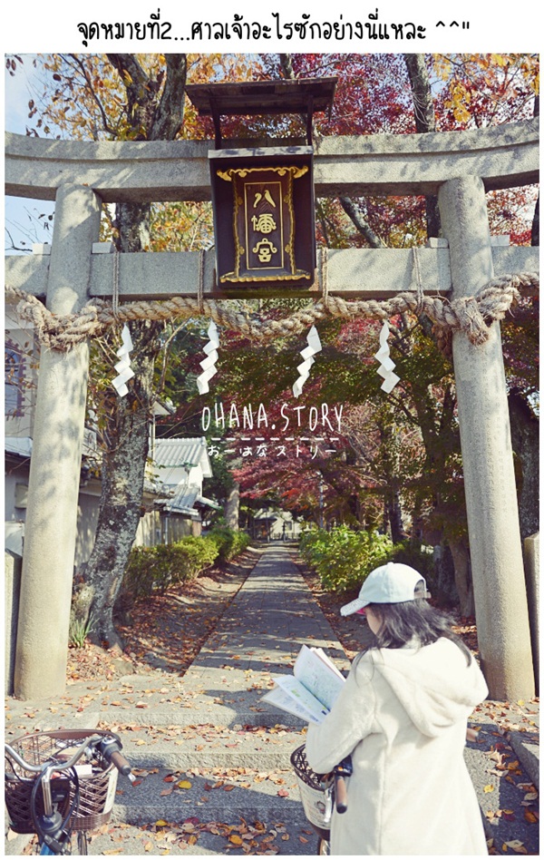  ปั่นจักรยานชิล ๆ ในเกียวโต