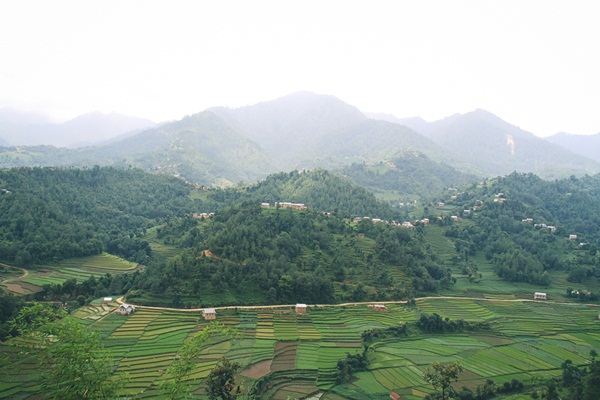 เนปาล