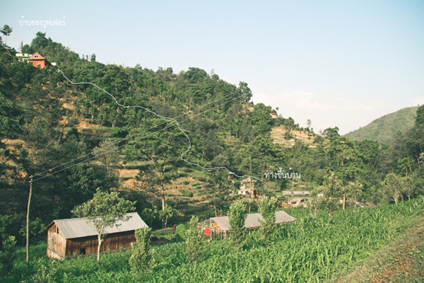 เนปาล
