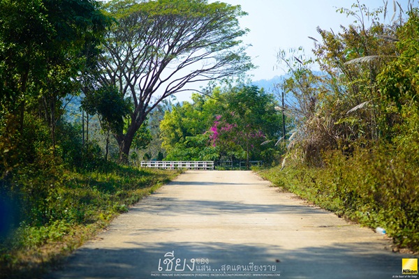 ลัดเลาะเที่ยวเชียงราย