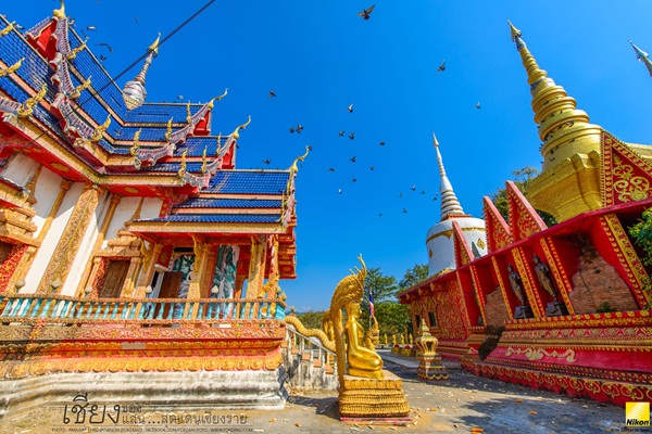 ลัดเลาะเที่ยวเชียงราย