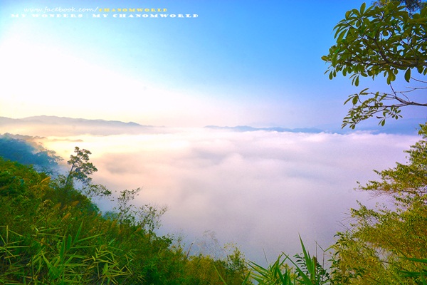 เที่ยวแก่งกระจาน แวะดูผีเสื้อ