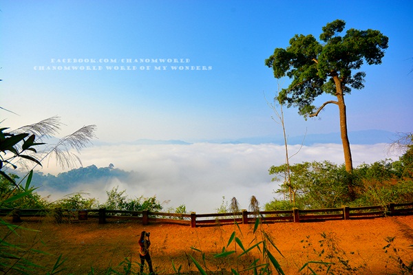 เที่ยวแก่งกระจาน แวะดูผีเสื้อ