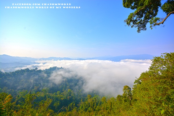 เที่ยวแก่งกระจาน แวะดูผีเสื้อ