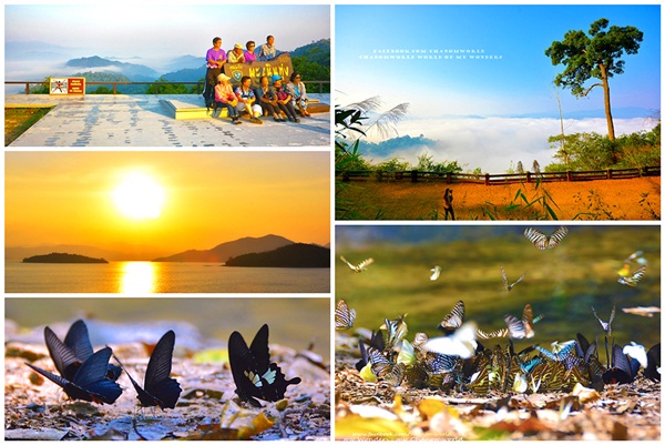 เที่ยวแก่งกระจาน แวะดูผีเสื้อ