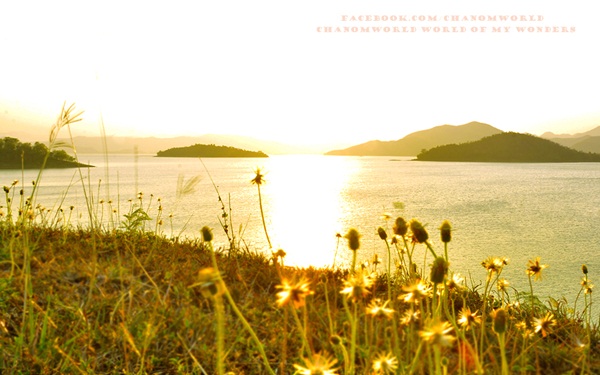 เที่ยวแก่งกระจาน แวะดูผีเสื้อ