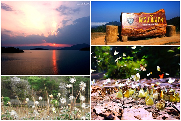 เที่ยวแก่งกระจาน แวะดูผีเสื้อ