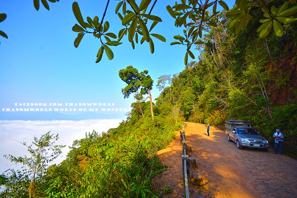 เที่ยวแก่งกระจาน แวะดูผีเสื้อ