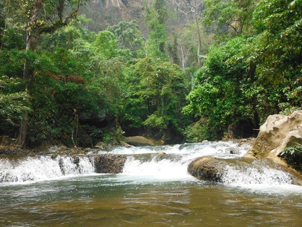 ลำคลองงู