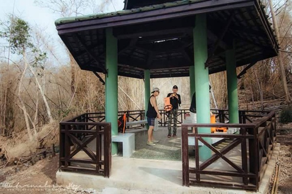 ลำคลองงู