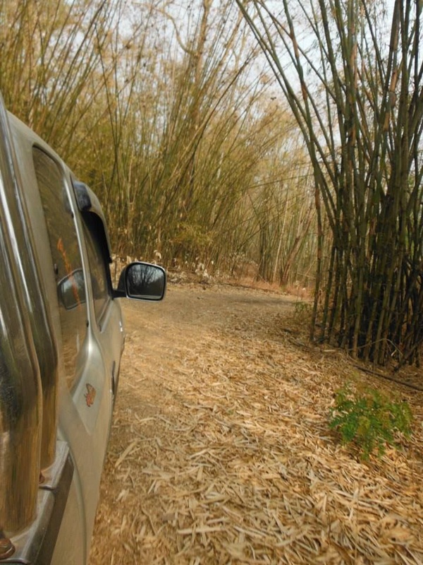 ลำคลองงู