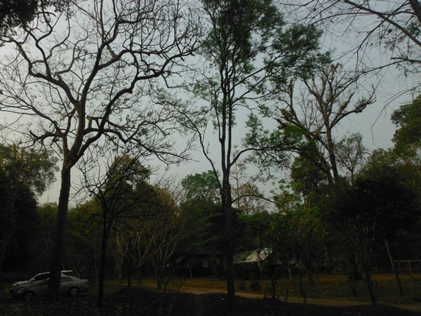 ลำคลองงู