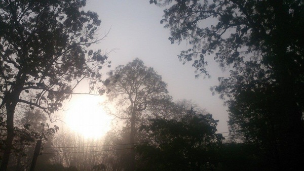 ลำคลองงู