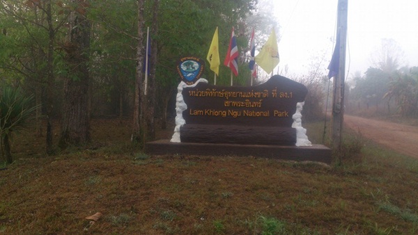 ลำคลองงู