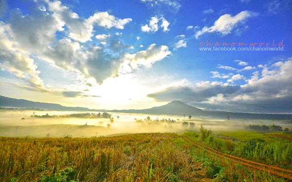 4 เช้าต้องห้าม...พลาด