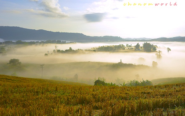 4 เช้าต้องห้าม...พลาด