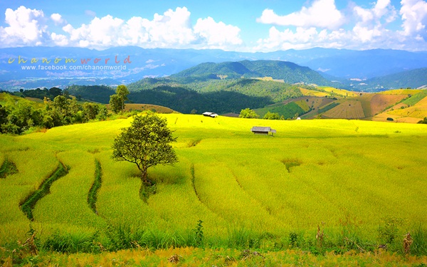 4 เช้าต้องห้าม...พลาด