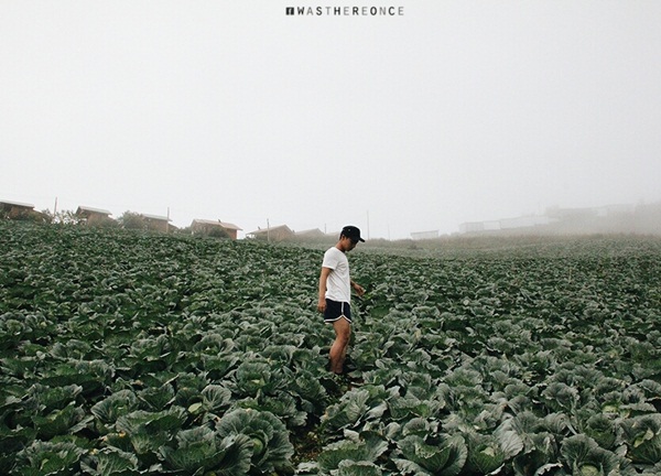 ท่องเที่ยว