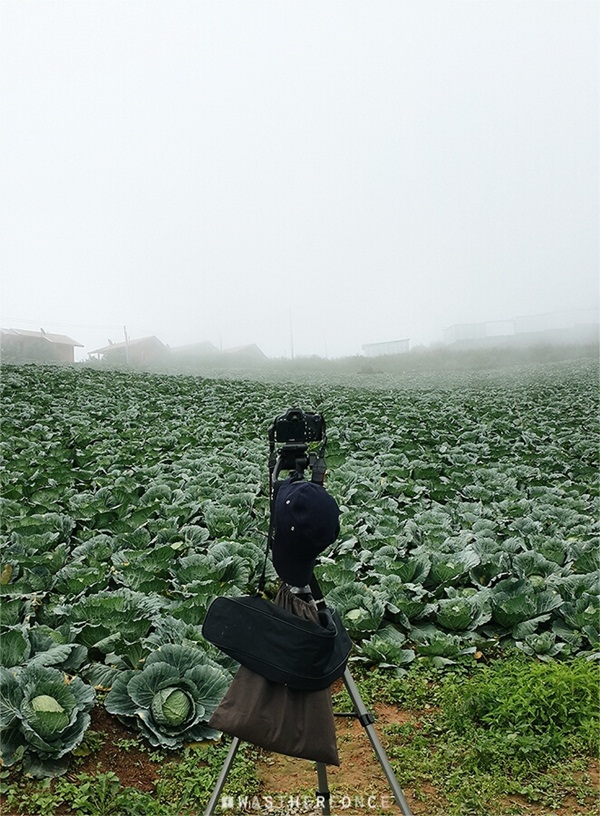 ท่องเที่ยว