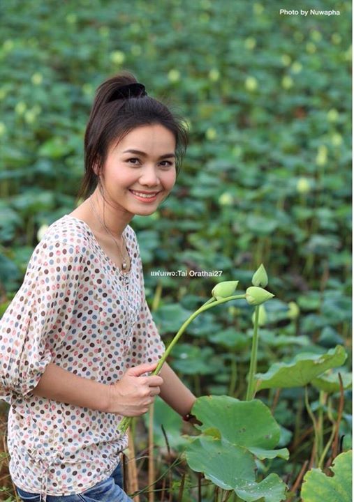 ต่าย อรทัย