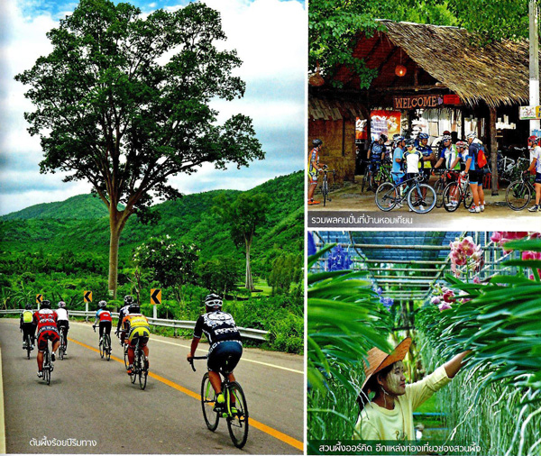เส้นทางจักรยานท่องเที่ยว