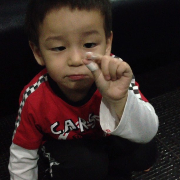 น้องชิโน่ น้องชิโน่