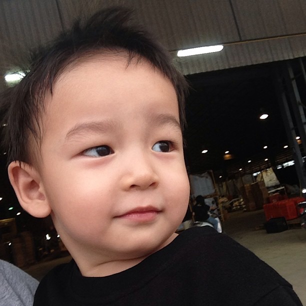 น้องชิโน่ น้องชิโน่