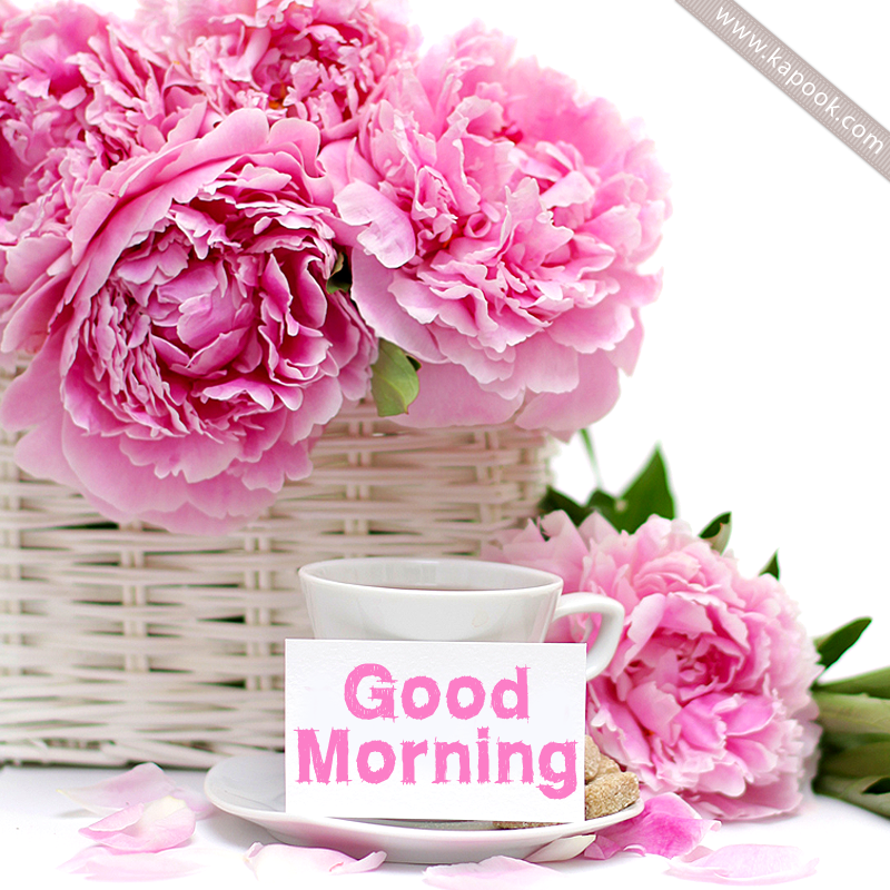 ดวงรายวัน วันที่ 15 สิงหาคม 2557