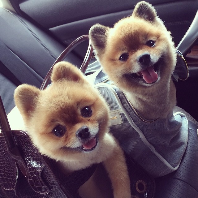 จอห์น วิญญู