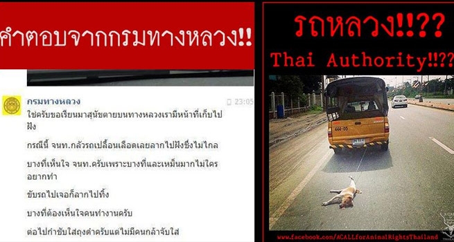 กรมทางหลวงใช้รถลากสุนัขตาย เพราะไม่มีใครกล้าจับ