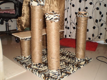 D.I.Y. Cat Condo