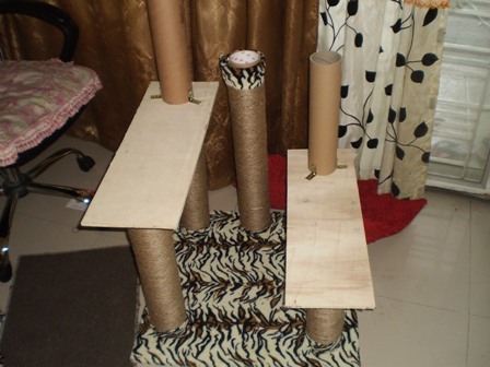 D.I.Y. Cat Condo