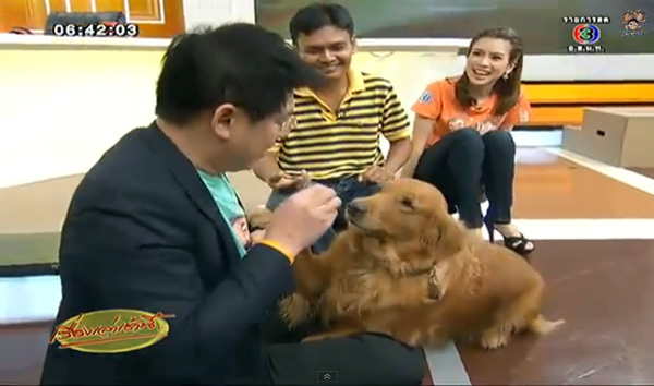 มะขวิดน้องหมาแสนรู้