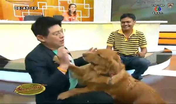 มะขวิดน้องหมาแสนรู้