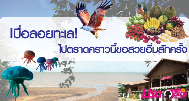 ตราด