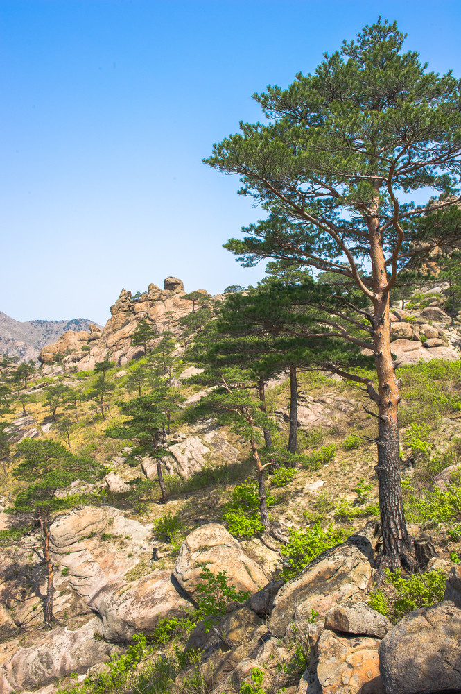 ภูเขาคัมกัง