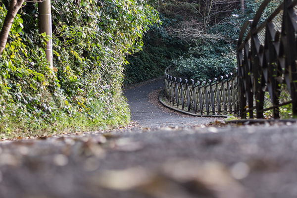 ญี่ปุ่น