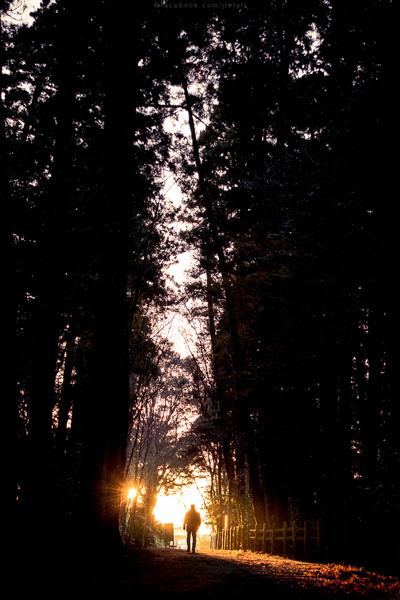 ญี่ปุ่น