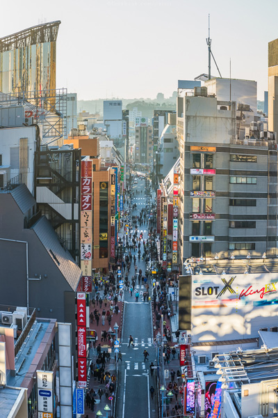 ญี่ปุ่น