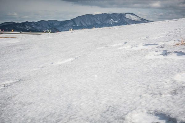 ญี่ปุ่น