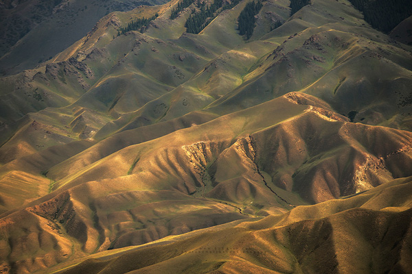 Landscape Landscape